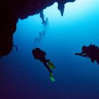 plongee sous marine martinique