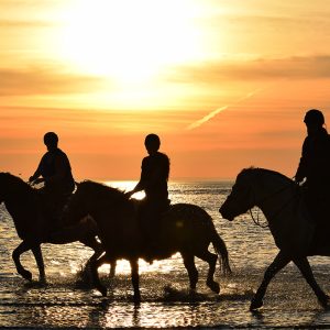 Balade a cheval Lac rose