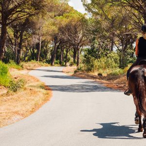 Balade a cheval Sine Saloum