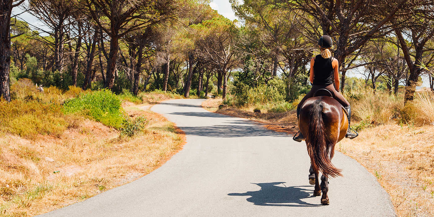 Une femme faisant du cheval sur une route. De l'équitation sur