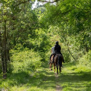 Balade a cheval Somone