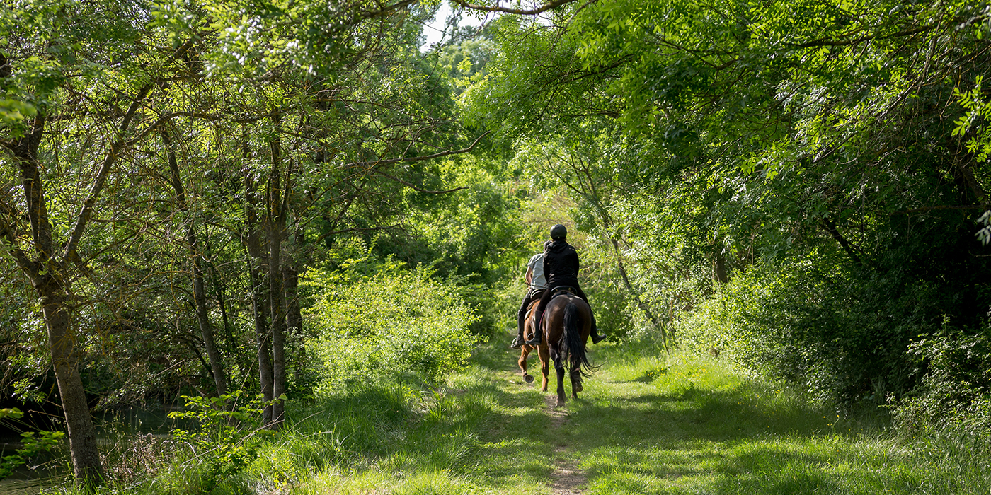 deux personnes de dos font de l'équitation sur un chemin verdoy