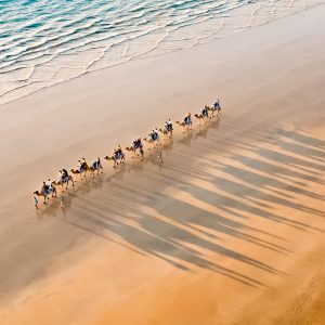 Balade en dromadaire à la Somone