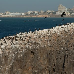 Iles de la Madelaine visite guidée
