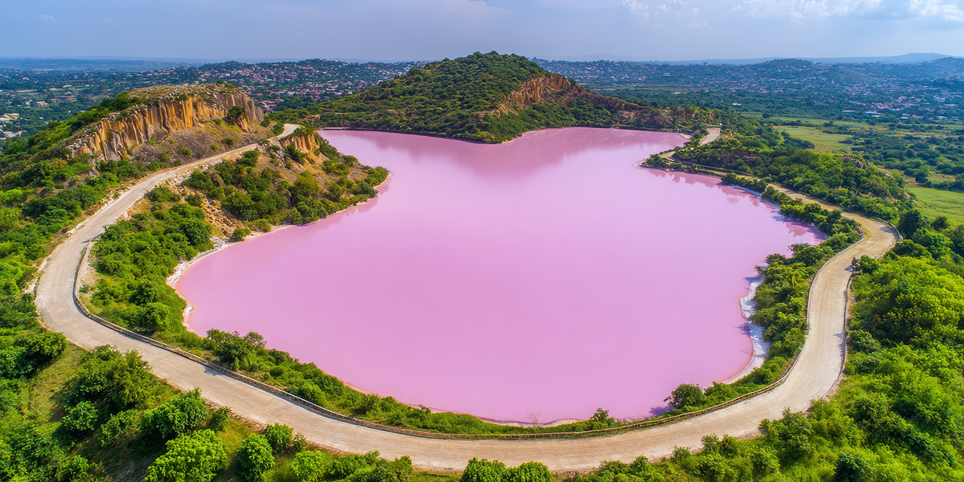 The pink lake is a beautiful landscape, unusual nature. A unique
