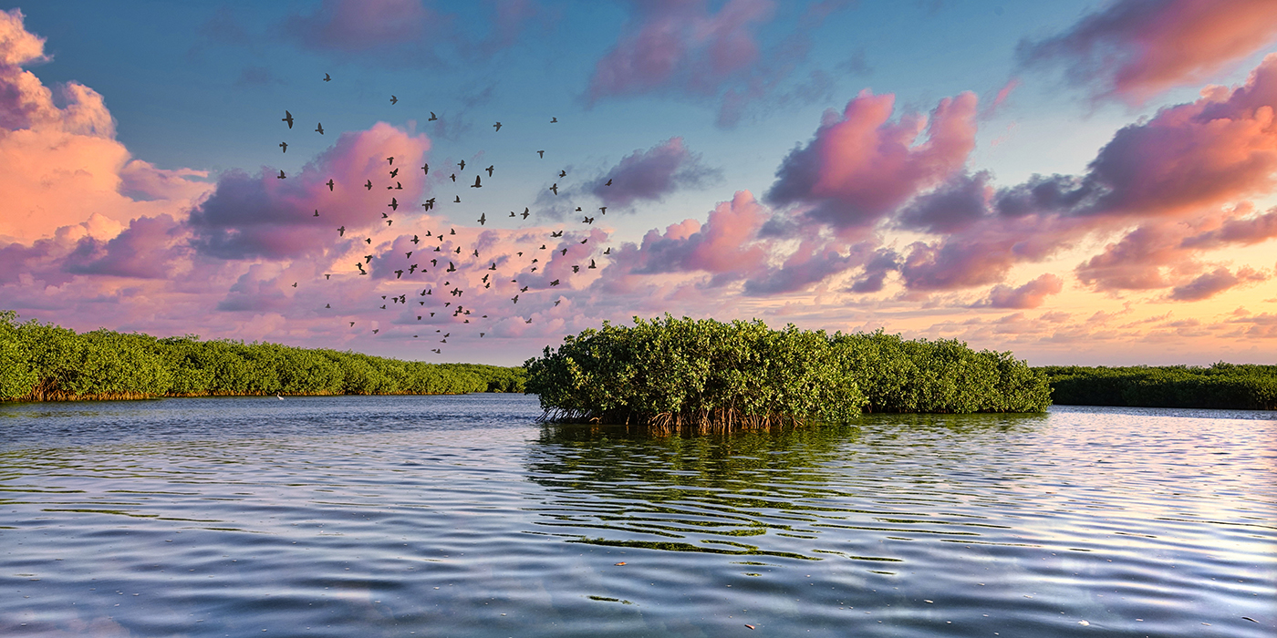Lagune de la Somone au Sénégal