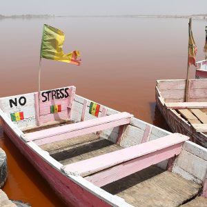 Balade bateau pirogue mangroves Dakar