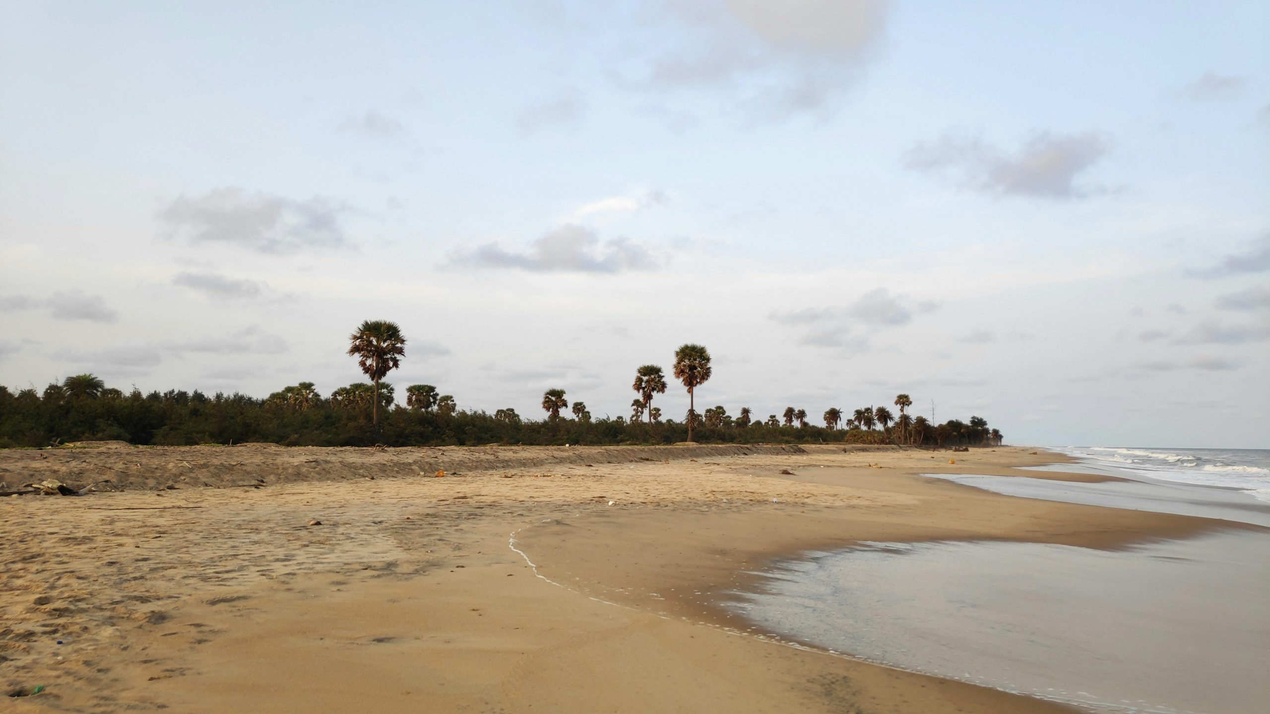 Request for privatization