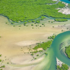 Randonnée découverte nature Joal