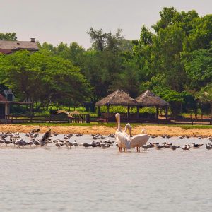 Randonnée découverte nature  Somone