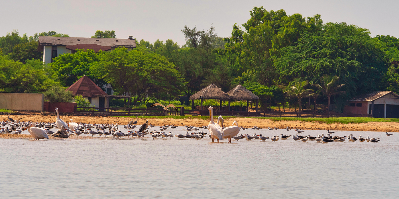 Lagoon of Somone wellknown for birds reserve, peace place for turism in Senegal