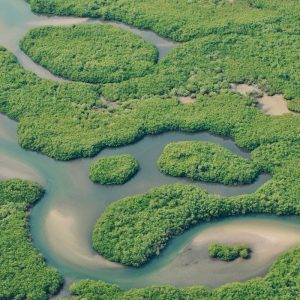 Randonnée VTT/VAE plage ou lagune Saloum