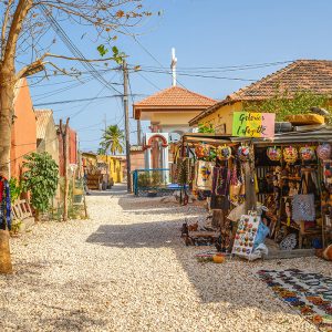 Atelier, marché, cuisine, village Joal