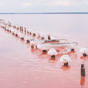 Atelier, marché, cuisine, village Lac rose
