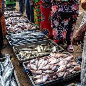 Atelier, marché, cuisine, village Mbour