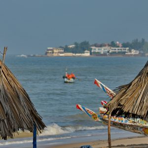 Atelier, marché, cuisine, village Ngaparou