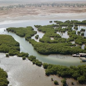 Excursion Petite côte