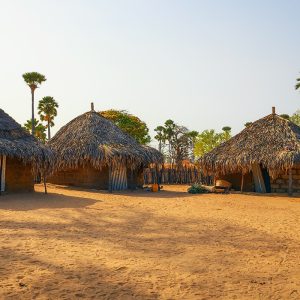 Immersion village lébou / pêche traditionnelle Dakar