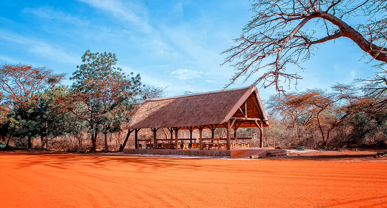 Bandia Park: safari in the heart of the Petite Côte