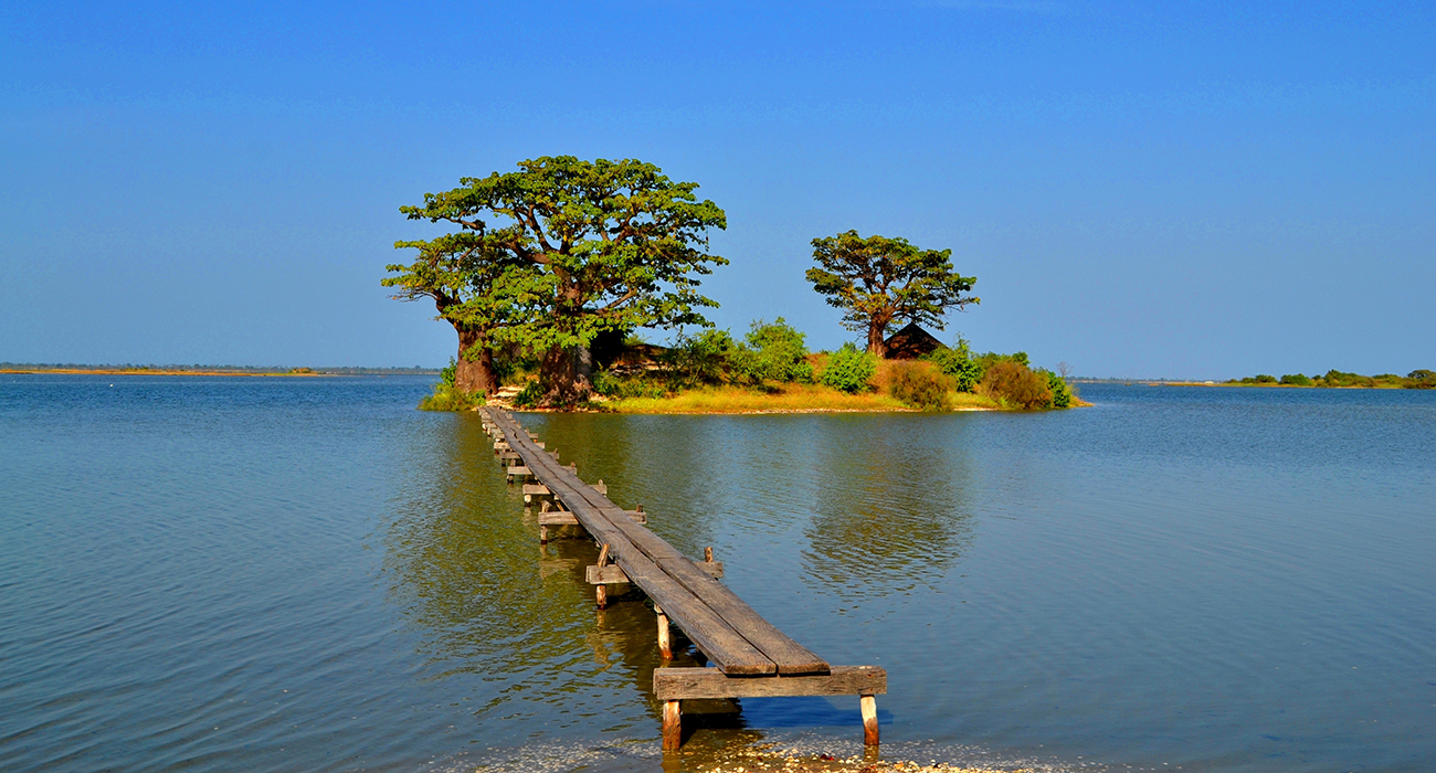 The Sine-Saloum Delta: between mangroves, islands, and Serer traditions