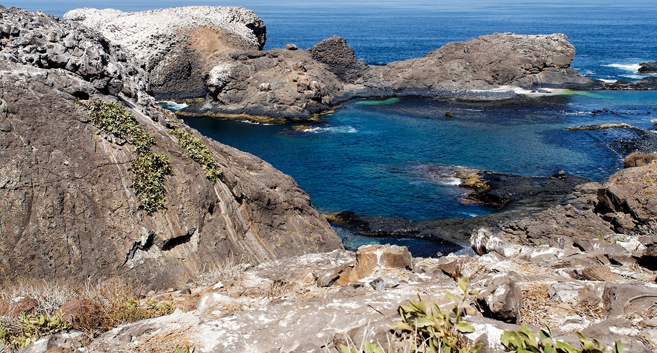 The Madeleine Islands: National Park Off the Coast of Dakar