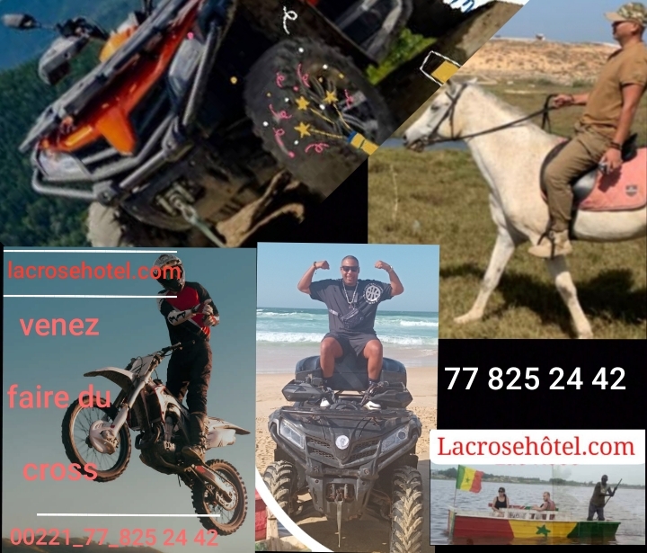 Balade Dromadaire ou cheval