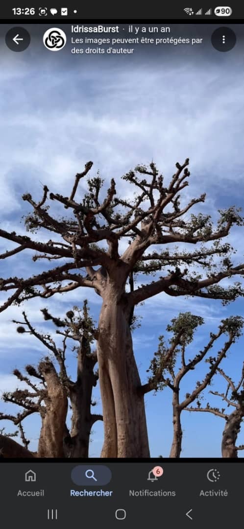 Excursions en Brousse