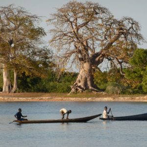 Balade pirogue des iles de carabane en casamance