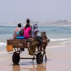 Balade en calèche (charrette à cheval) le long de la plage au Sénégal