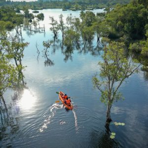 Descente en canoë-kayak sur une rivière bordée de mangrove au Sénégal