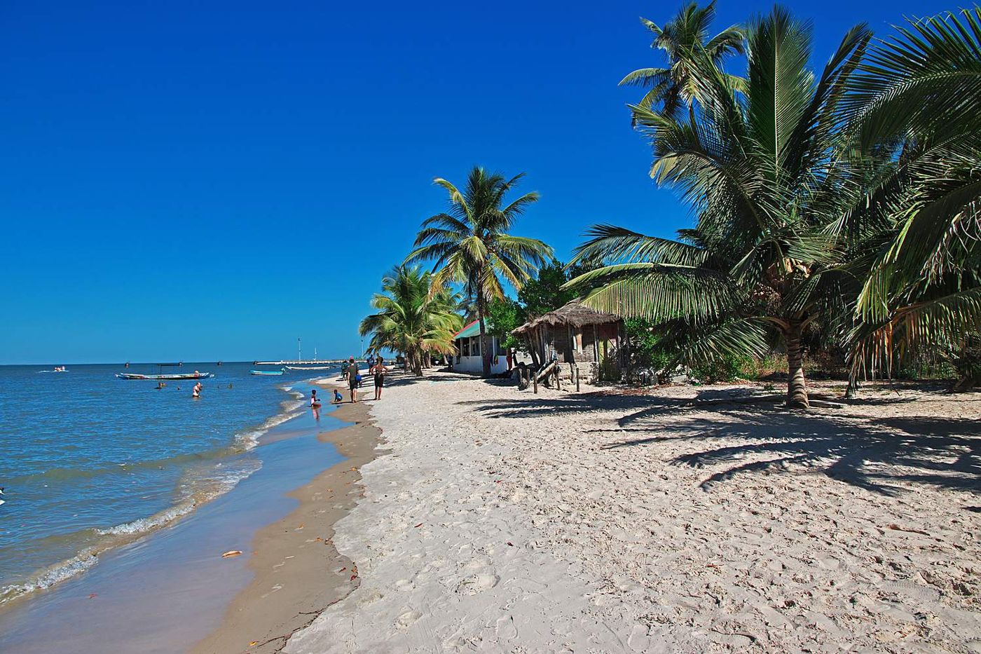 Egueye Island: an island with no village, where the mangrove has the last word