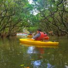 Kayak dans un tunnel de mangrove au Sénégal