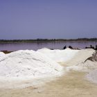 Récolte de sel au Lac Rose (Lac Retba), Sénégal