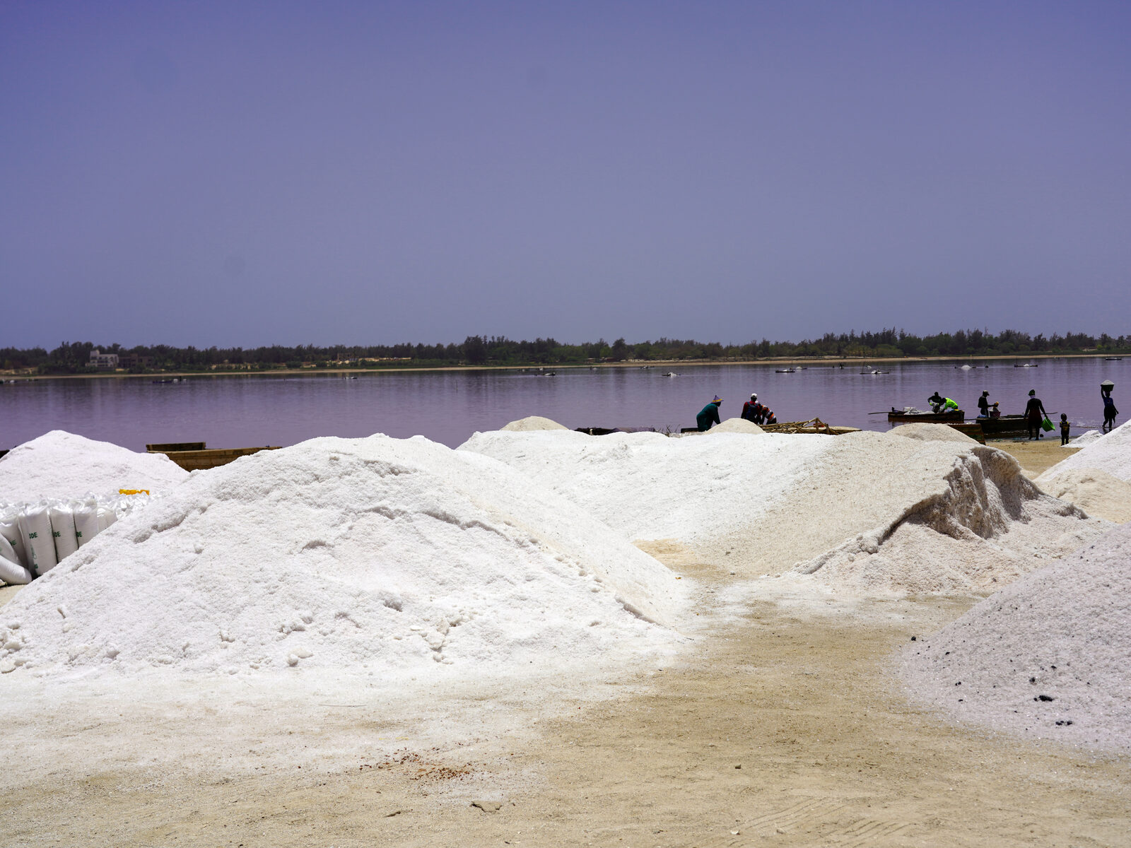 Récolte de sel au Lac Rose Récolte de sel au Lac Rose (Lac Retba), Sénégal