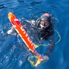 Plongeur avec équipement de plongée sous-marine
