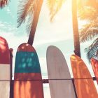 Planches de surf alignées sur la plage sous les palmiers