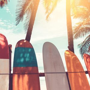 Planches de surf alignées sur la plage sous les palmiers
