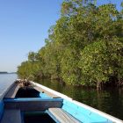 Pirogue traditionnelle delta sine saloum, Sénégal