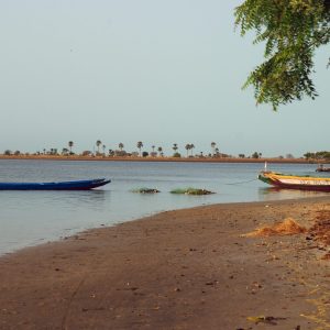 Piroguesaises sine saloum, Sénégal