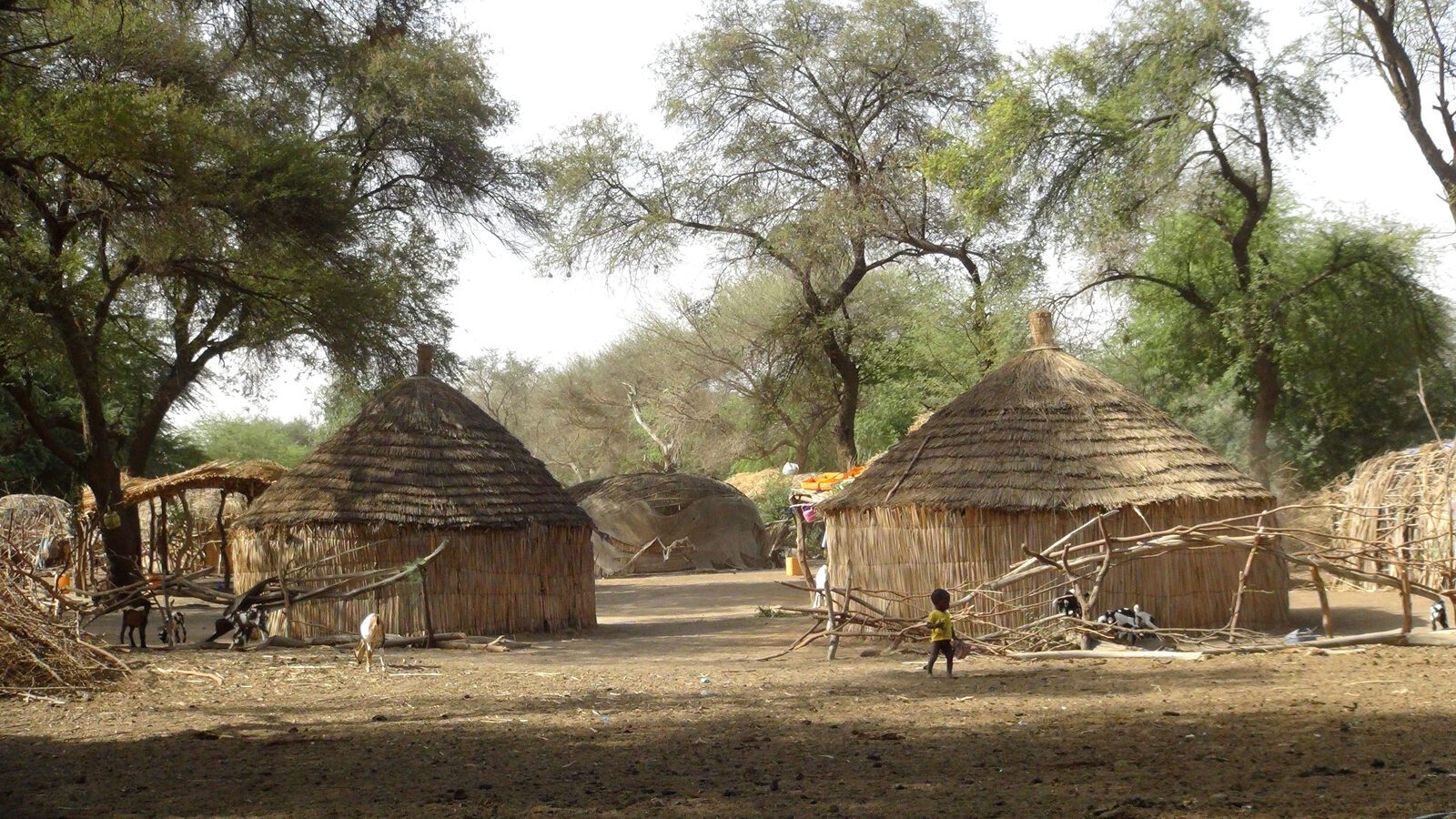 Village peul — Ngaparou Village peul et cases traditionnelles près de Ngaparou, Sénégal